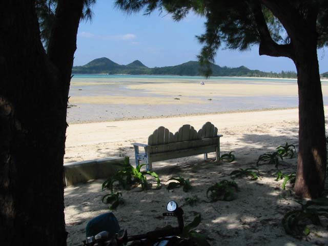 yadokani 003